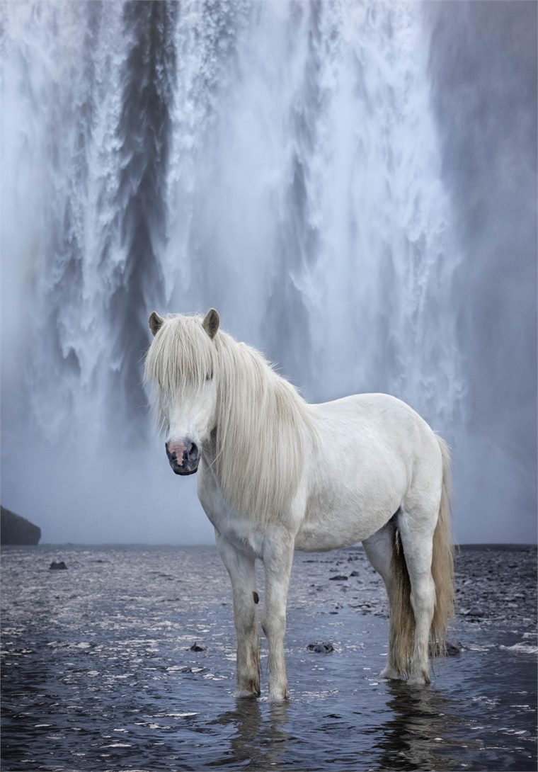 iceland