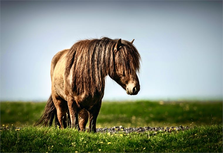 iceland