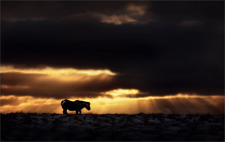 iceland