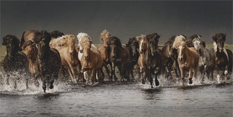 iceland