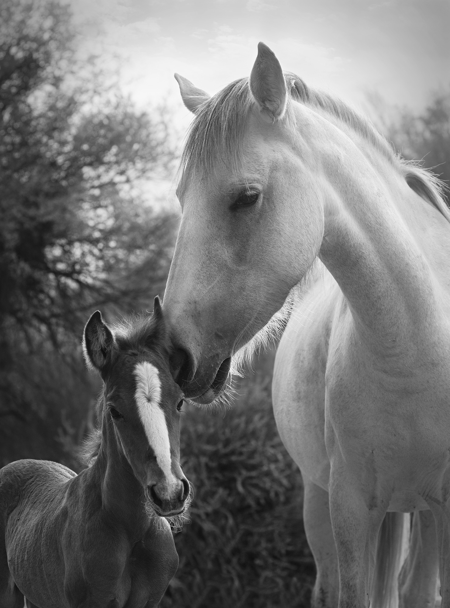 black and white