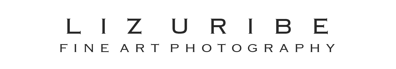 Liz Uribe Photography